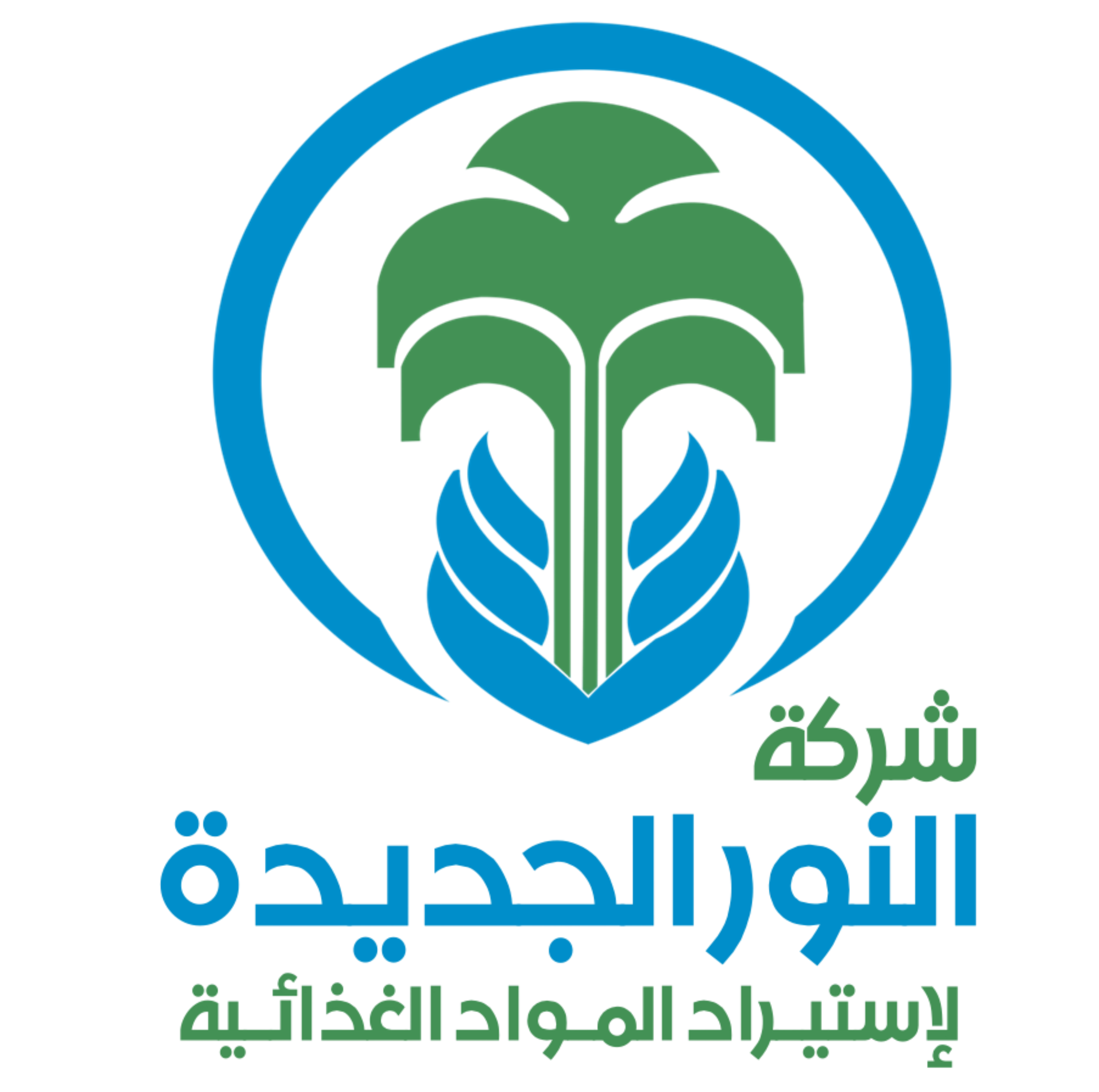 شركة النور الجديدة